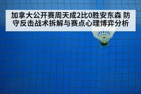 badminton net play(j9 game)