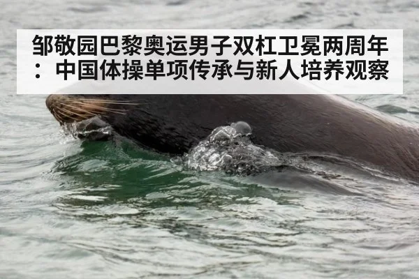 邹敬园巴黎奥运男子双杠卫冕两周年：中国体操单项传承与新人培养观察（jiuyouhui）