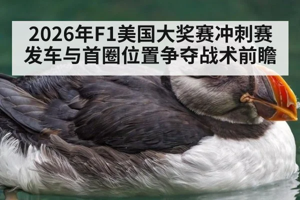2026年F1美国大奖赛冲刺赛发车与首圈位置争夺战术前瞻