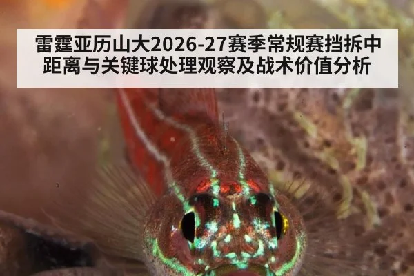 雷霆亚历山大2026-27赛季常规赛挡拆中距离与关键球处理观察及战术价值分析